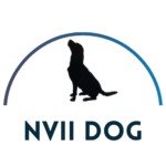 Logo nviidog